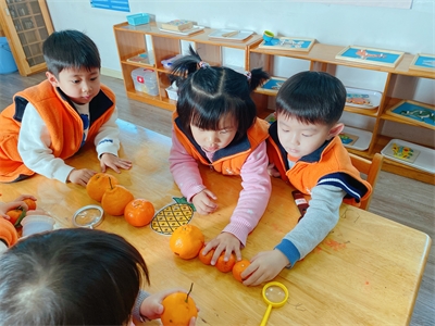 图片22.png