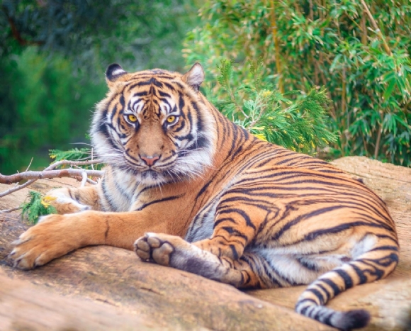src=http___pic1.zhimg.com_v2-a2d20d614a5c053ff5febaa027f41b8f_1440w.jpg_source=172ae18b&refer=http___pic1.zhimg.jpg