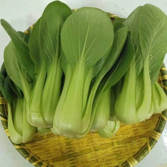 Image1.png
